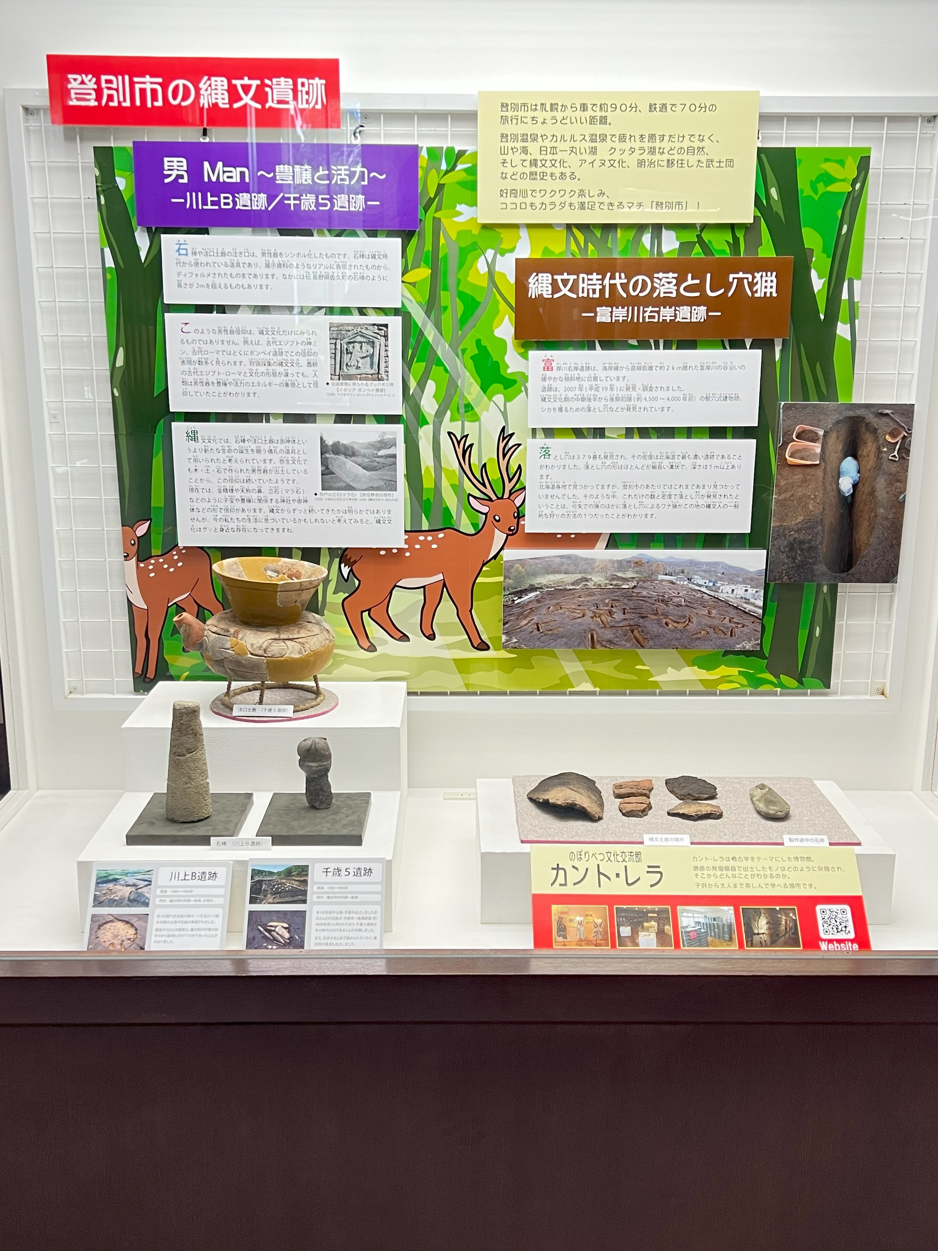 展示の様子